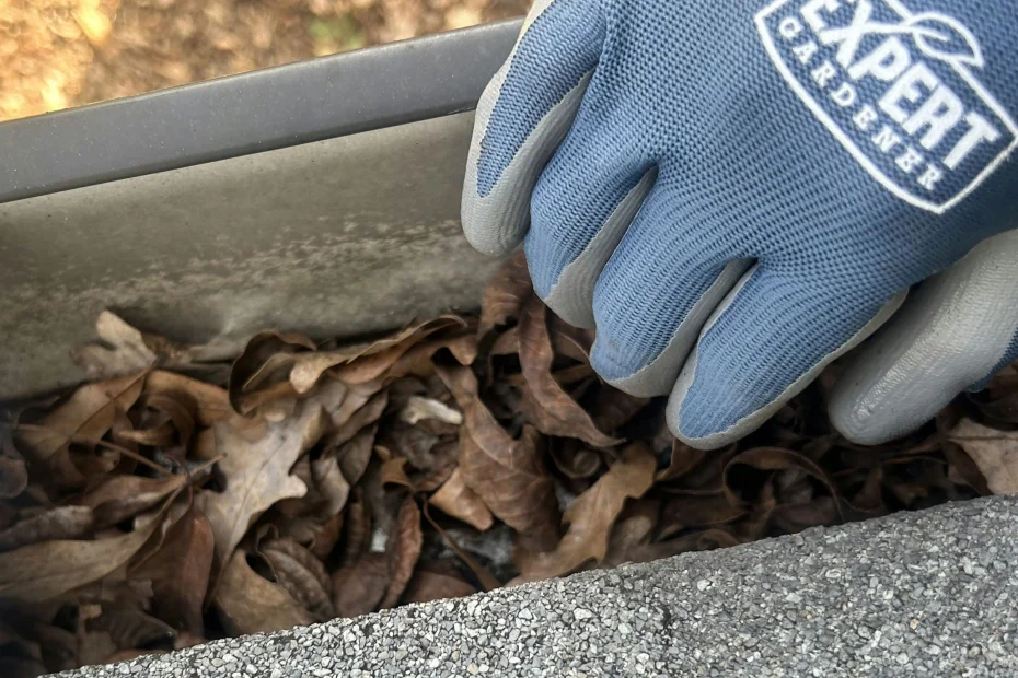 Gutter Cleaning Weston FL