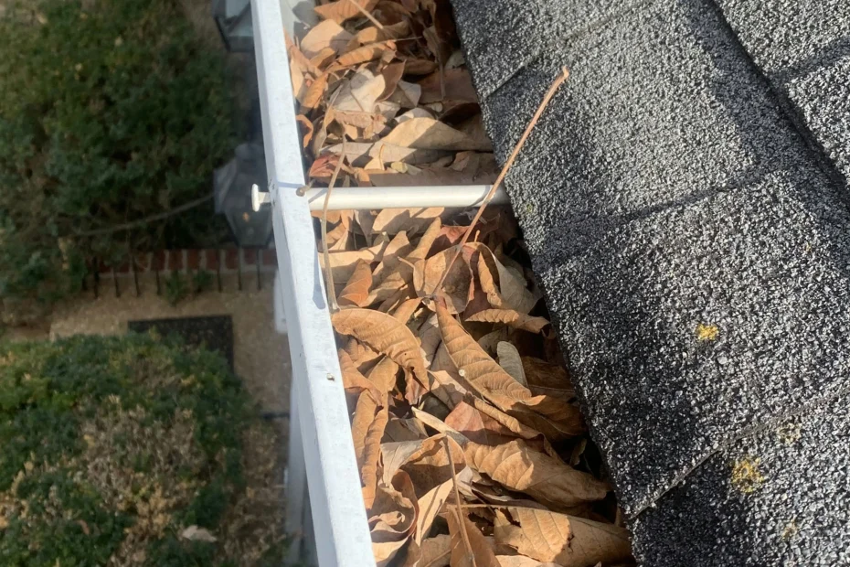 Gutter Cleaning Weston FL