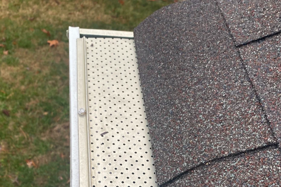 Gutter Cleaning Weston FL